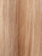 RH1488 | Dark Blonde with Lightest Blonde Highlights