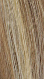 R12/26H | Light Brown with Golden Blonde Highlights