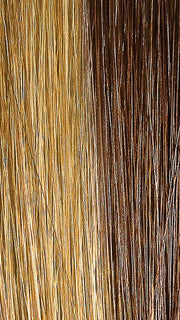 14014 SPRING HONEY | Light Ash Brown and Blonde Streaked