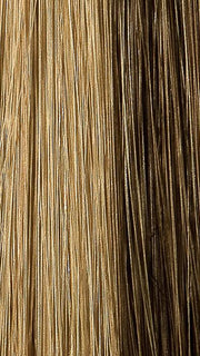 1020 BUTTER WALNUT | Light Brown Base with Blonde Highlights in the front and on top