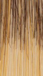 20/10 SUNSET | Medium Dark Brown Base tipped with Golden Blonde Highlights