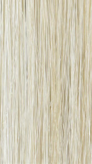 223/23C | Light Golden Blonde