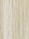 223/23C | Light Golden Blonde