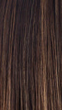 COFFEE-LATTE | Dark brown & honey brown blend highlights