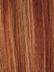 P27/30/33 | Honey Blonde, Copper Blonde, and Dark Auburn Mixed