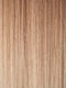 TP613/27 | Honey Blonde Highlight Streak with Platinum Blonde Tip