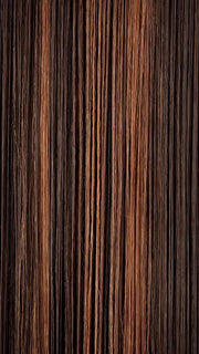 FS4/30 | 80% Medium Dark Brown with 20% Copper Blonde Frost