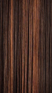 FS4/30 | 80% Medium Dark Brown with 20% Copper Blonde Frost