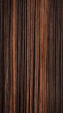 FS4/30 | 80% Medium Dark Brown with 20% Copper Blonde Frost