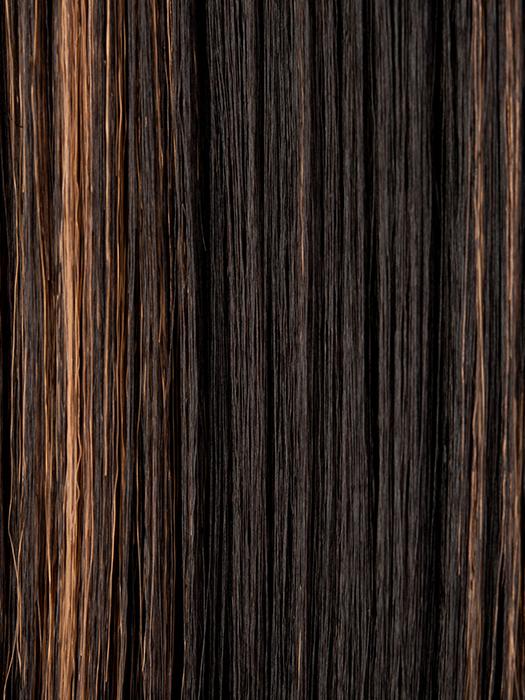 FS1B/27 | 80% Off Black with 20% Honey Blonde Frost