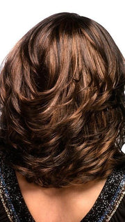 FS4/27 | 80% Medium Dark Brown with 20% Honey Blonde Frost