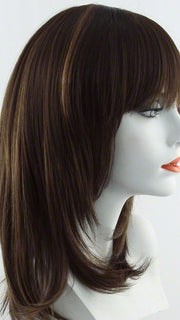 FS4/27 | 80% Medium Dark Brown with 20% Honey Blonde Frost