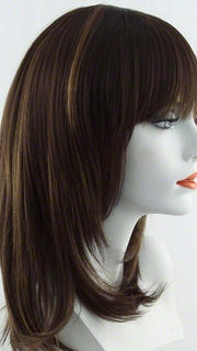 FS4/27 | 80% Medium Dark Brown with 20% Honey Blonde Frost