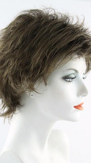 6/10T Medium Dark Brown Blended with Medium Chestnut Brown with Golden Brown Tips